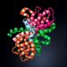 Integrative Structural and Dynamics Insights into EGFR — Cancer
