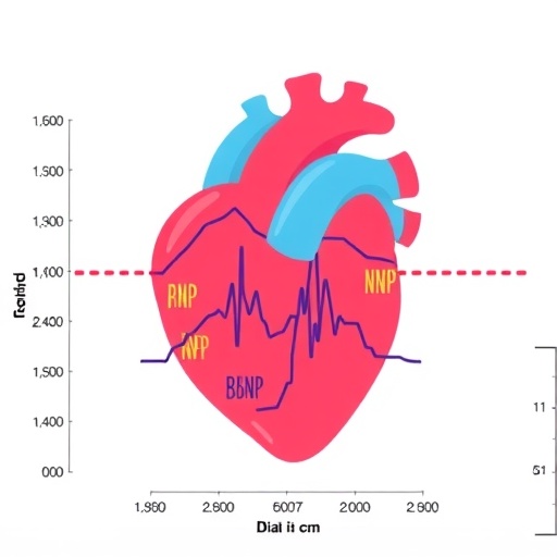 LAD/BSA, NT-proBNP Predict Pediatric Heart Death — Technology and Engineering