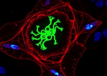 LASER Links Damage Detection to Lysosome Repair — Medicine
