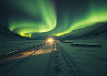 Light and Dark Drive Nitrous Oxide Fluxes in Permafrost — Earth Science
