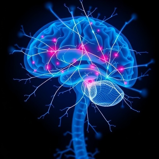 Locus Coeruleus α-Synuclein Triggers Early Parkinson’s Signs — Medicine