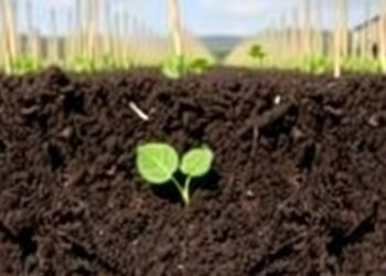 Long-Term Biochar Application Boosts Microbial Carbon Storage in Cropland Soils—But Soil Depth Is Key — Chemistry