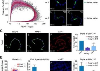 MAPT Mutations Disrupt Axonal Transport, p38α Inhibition Restores — Medicine