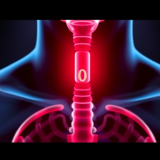 MIT Engineers Develop Targeted Drug Delivery System for the Esophagus — Medicine