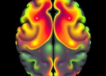 Mapping Emotional States in Basolateral Amygdala — Medicine