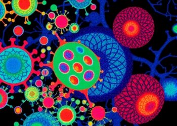Mapping the Tumor Microenvironment: A Single-Cell Atlas from Cellular Subtypes to Virtual Tumors — Cancer