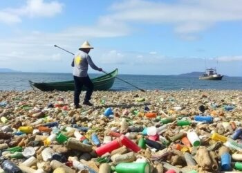 Marine Plastic Pollution Threatens Vietnam Fishing Livelihoods — Earth Science