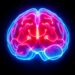 Mayo Clinic Research Finds AI Detects Brain Tumor Risks Without Expensive Genetic Tests — Cancer