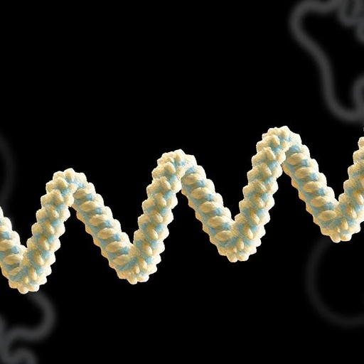 Mayo Clinic Scientists Uncover Structure of Crucial Protein Implicated in Cancer and Neurological Disorders — Chemistry