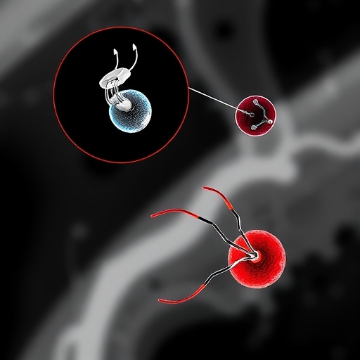 Micro/Nanorobotic Systems Enable Imaging-Guided Closed-Loop Thrombus Recanalization — Technology and Engineering