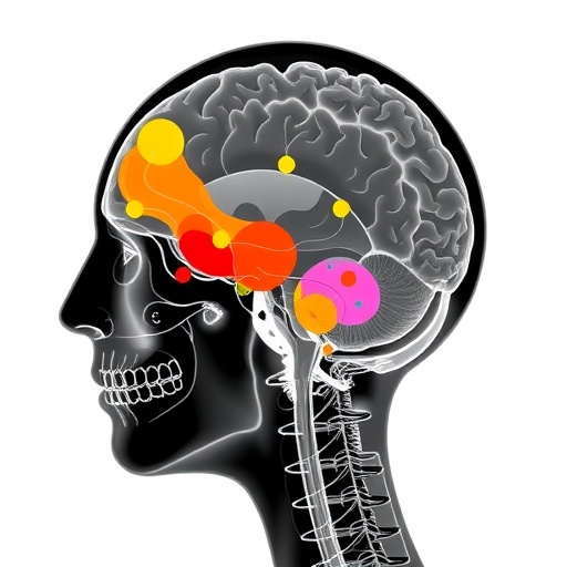 Multimodal Models Use Text for Medical Image Predictions — Medicine