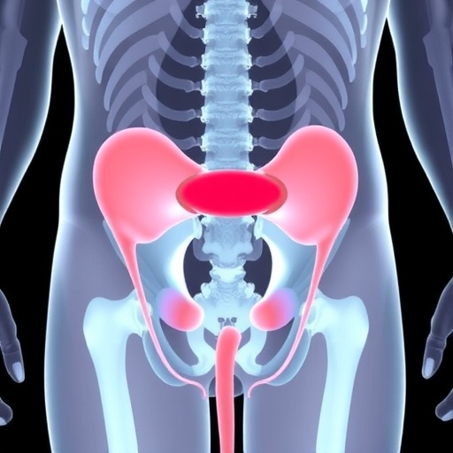 NIH Awards Grant to Advance Novel Bladder Repair Technology for Pediatric Patients — Medicine