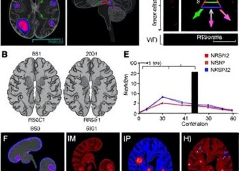 NRSN2 Deficiency Disrupts Memory via NMDA Impairment — Psychology & Psychiatry