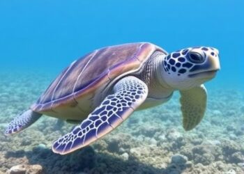 New Alliance Formed to Safeguard Atlantic Leatherback Turtles on World Sea Turtle Day — Biology