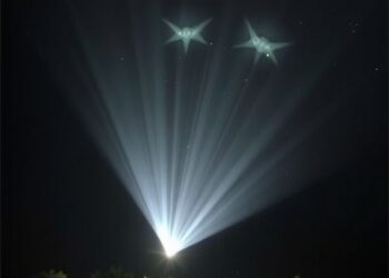 New Research Reveals Rays Use Chemical Signals to Warn Others of Danger — Marine