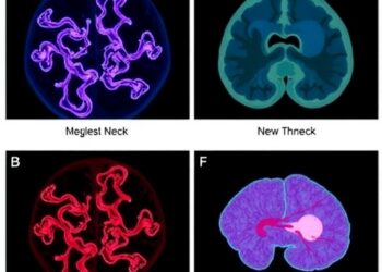New Research Uncovers Challenges Hindering Antibody-Based Therapies for Solid Head, Neck, and Pancreatic Tumors — Cancer