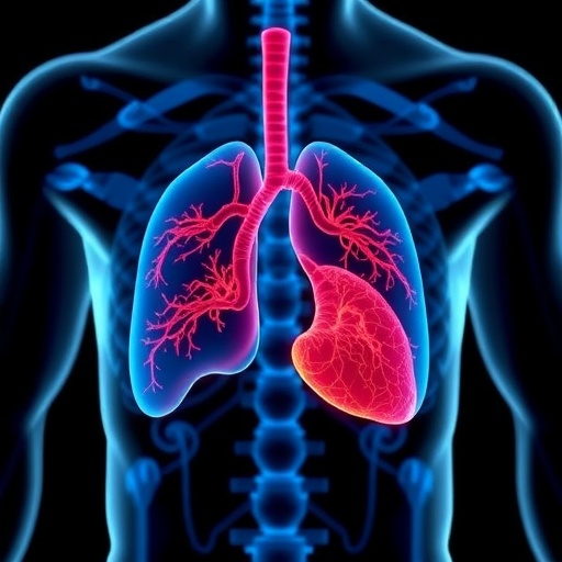 New Research Unveils Innovative EHR Marker to Predict and Prevent Organ Rejection in Transplant Patients — Medicine