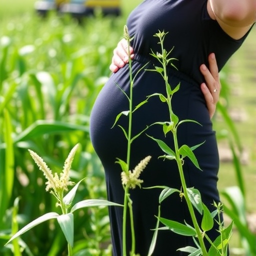 New Study Reveals Common Weed Killer Linked to Hormonal Changes Impacting Pregnancy and Fetal Development — Biology