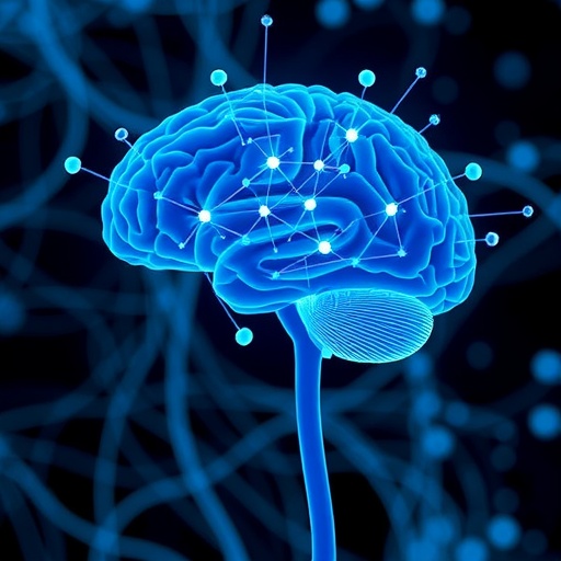 New Study Uncovers How the Brain Revises Its Predictions — Biology