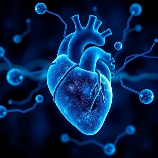 New Technology Uncovers How the Heart Produces Cells with Regenerative Potential — Technology and Engineering