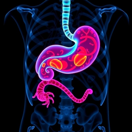 New Tomography-Based Marker Advances Accuracy of Gastric Cancer Prognosis — Cancer