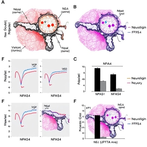 Npas4 Regulates Synaptic Function via Neuroligin-1, N-cadherin — Psychology & Psychiatry