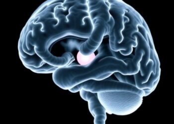 Optimal Echocardiography Timing in Neonatal Brain Injury — Medicine