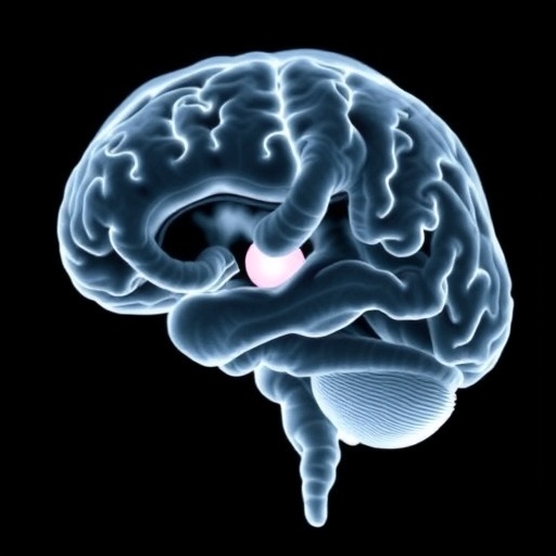 Optimal Echocardiography Timing in Neonatal Brain Injury — Medicine