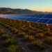 PAINT Database Enables FAIR Data for Solar Plants — Technology and Engineering