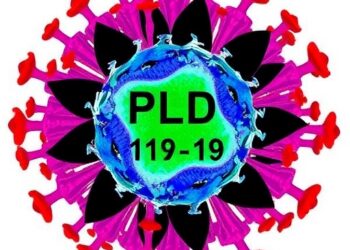 PLD1/2 Drive Immunosuppression via CCL19 and PD-L1 — Cancer