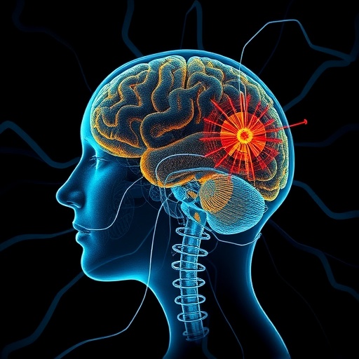 Patient-Specific tDCS Modeling Predicts OCD Treatment Success — Psychology & Psychiatry