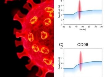 Photoimmunotherapy Targets CD98 in Solid Tumors — Technology and Engineering