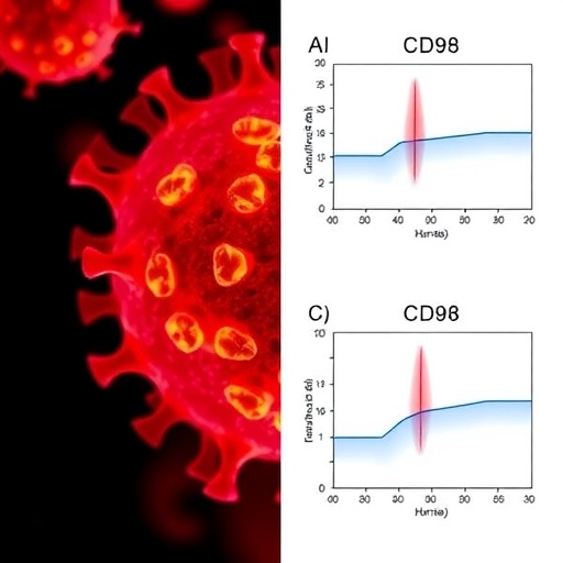 Photoimmunotherapy Targets CD98 in Solid Tumors — Technology and Engineering