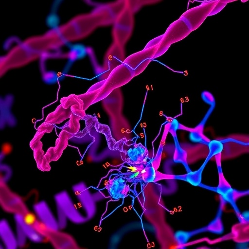 Plasma Proteomics Links TNFRSF Proteins to HIV Stroke — Medicine