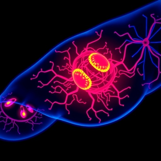 Precision Ablation Targets Metastatic Cancer via Rewired Signaling — Medicine