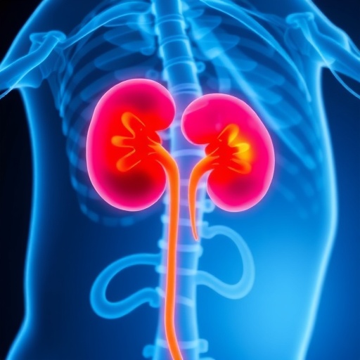 Predicting Severe Sepsis Kidney Injury in Elderly ICU — Medicine