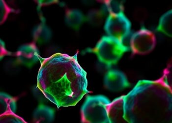 Pregabalin Boosts Pancreatic Cancer Cells, Not Tumors — Medicine