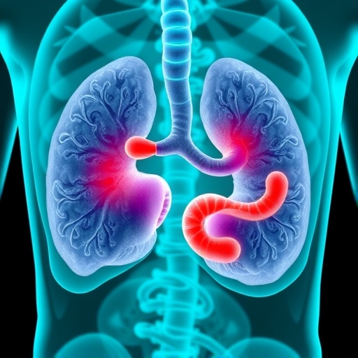 Quinolinic Acid Boosts Prostate Cancer Therapy Response — Medicine
