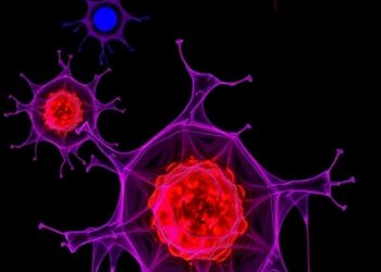 RUNX1-Driven GCN5 Boosts ICOSLG, Activates T Cells — Cancer