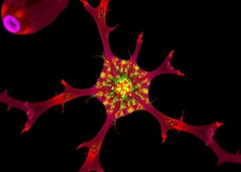 Raman Microscopy Unveiled: The Revolutionary Molecular Imaging Technique Transforming Biological Research — Cancer