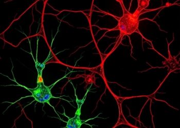 Reactive Astrocytes Drive Toxicity in Dopaminergic Neurons — Medicine