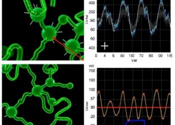 Real-Time Electrical Tracking of Single Enzyme Activity — Earth Science