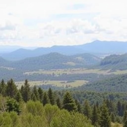 Research Reveals Nationwide Indigenous Land Restorations Shaping Future Public Planning — Social Science
