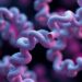 Researchers Reveal Concealed Drug-Binding Site in Cancer Protein, Showcasing Both Strengths and Challenges of AI in Drug Discovery — Medicine