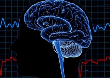 Rethinking EEG Biomarkers: A Dimensional Brain Disorders View — Psychology & Psychiatry