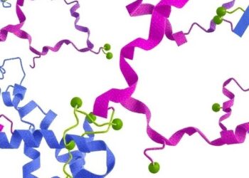Reverse Engineering BNIP3 Reveals Mitochondrial Protector — Medicine