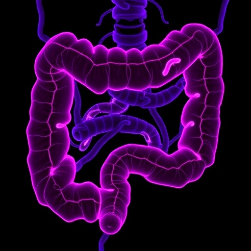 Scientists Identify Key Protein Driving Chemotherapy Resistance in Colorectal Cancer — Cancer
