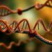 Scientists Uncover New Insights into RNA-Guided Transposon Mechanisms — Biology