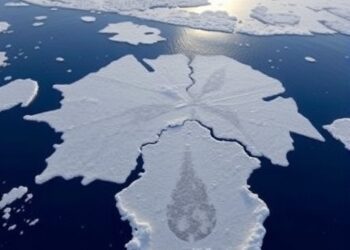 Sea Ice Changes Drove Late Quaternary Biodiversity Shifts — Earth Science