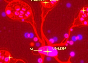 Secretory LGALS3BP Drives Sepsis Liver Damage via Pyroptosis — Medicine